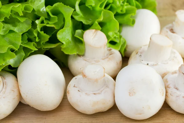 Mushrooms with lettuce — Stock Photo, Image