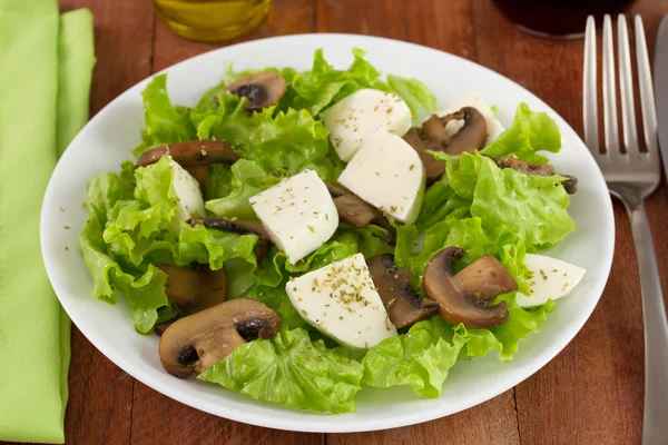 Salad mushrooms with cheese mozzarella — Stock Photo, Image