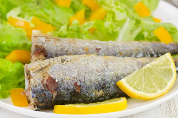 Gebratener Fisch mit Zitrone und Salat — Stockfoto