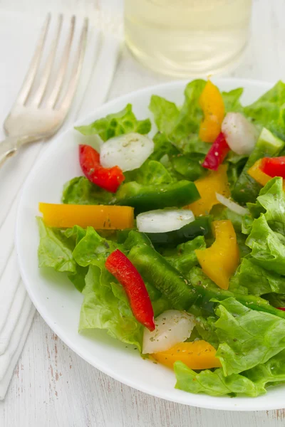 Lettuce with radish and pepper — Stock Photo, Image