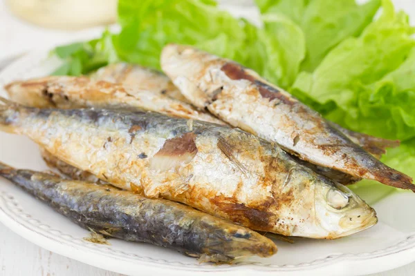Sardine con insalata sul piatto bianco — Foto Stock