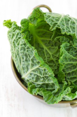 lahana beyaz eski tablo