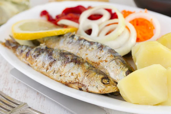 Gebakken sardines op witte schotel — Stockfoto