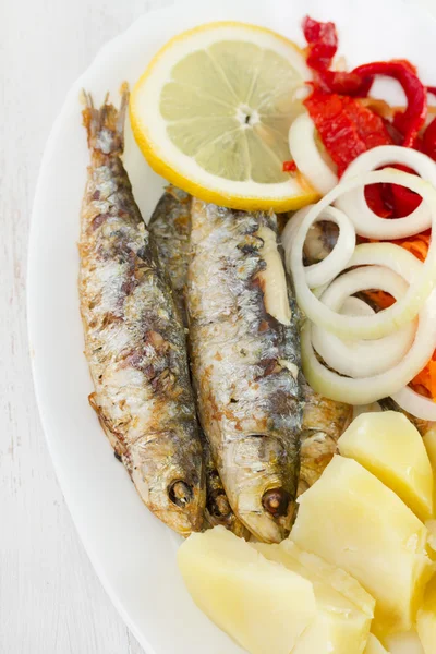 Fried sardines on white dish — Stock Photo, Image