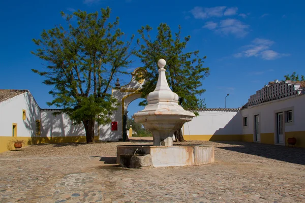 Fontain in de farm, in portugal — Stockfoto