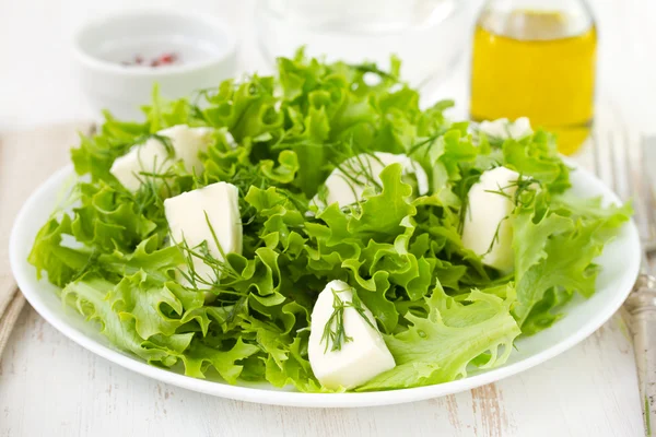 Fresh salad with cheese mozzarella — Stock Photo, Image