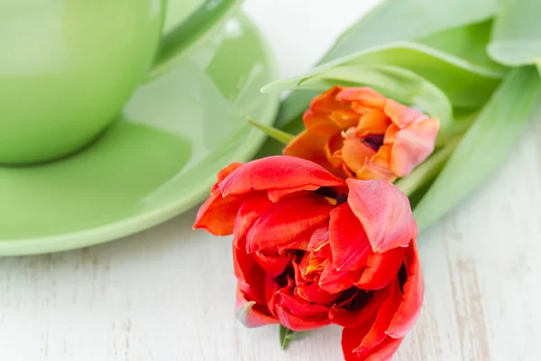Green teacup with tulips — Stock Photo, Image