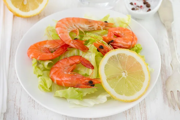 Salad with shrimps — Stock Photo, Image