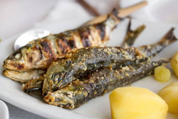 Sardine fritte con patate bollite — Foto Stock