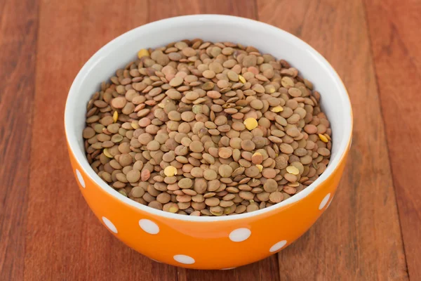 Lentil in orange bowl — Stock Photo, Image