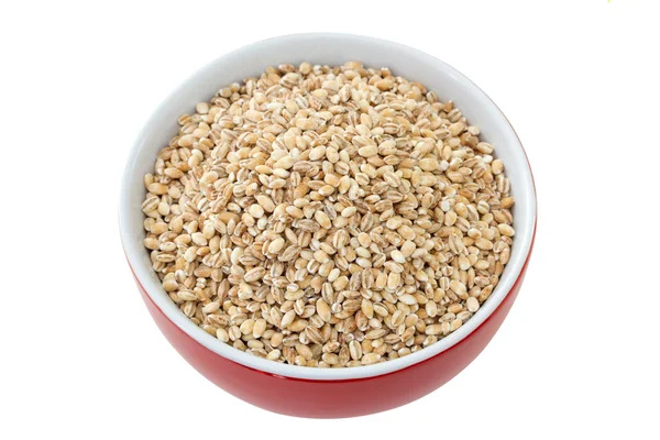 Pearl barley in red bowl on red background — Stock Photo, Image