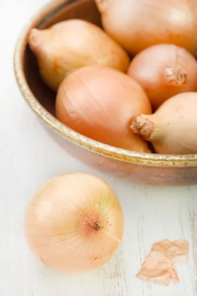 Zwiebeln auf weißem Hintergrund — Stockfoto