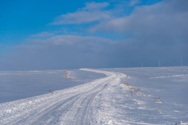 Kışın güneşli bir günde yol karla kaplıydı.