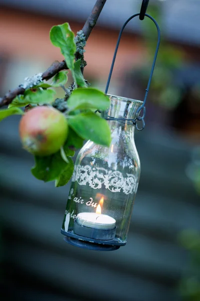 Lantern hanging from appletree — Stock Photo, Image