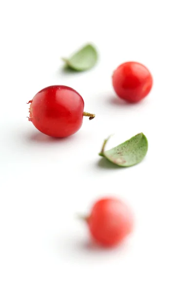 Arándanos rojos —  Fotos de Stock