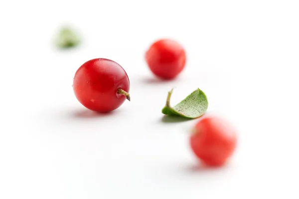 Preiselbeeren — Stockfoto