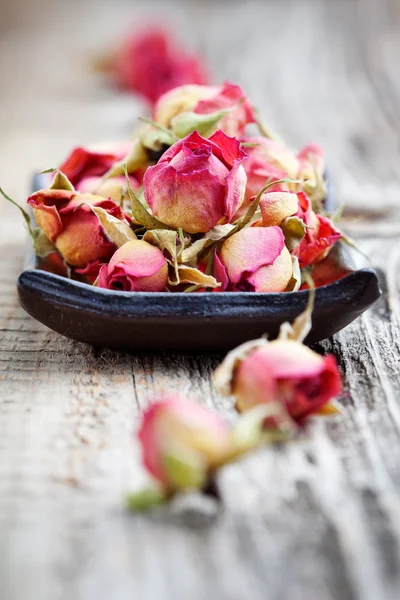 Dried rose buds — Stock Photo, Image