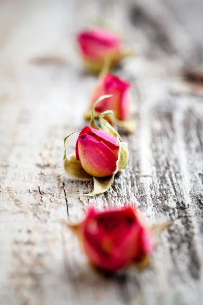 Сушеные розы — стоковое фото
