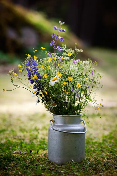 Boeket wilde bloemen — Stockfoto