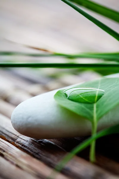 Zen stones — Stock Photo, Image