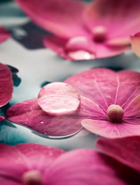 Wellness — Stock Photo, Image