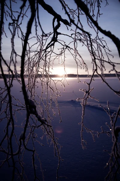 Wintersonnenuntergang — Stockfoto