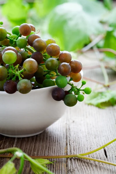 Grapes — Stock Photo, Image