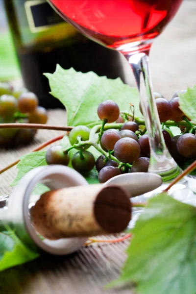 Uvas y vino tinto — Foto de Stock