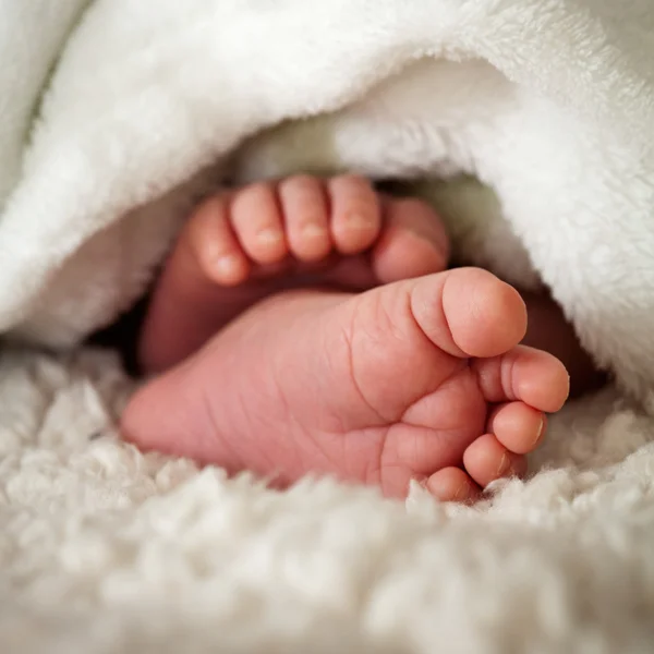 Baby tenen — Stockfoto