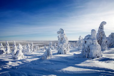 Lapland Finland