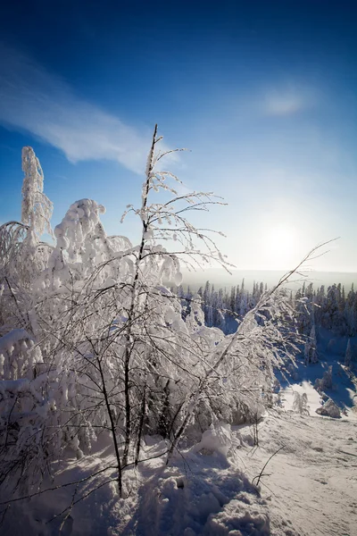 Lapland Finland — Stockfoto