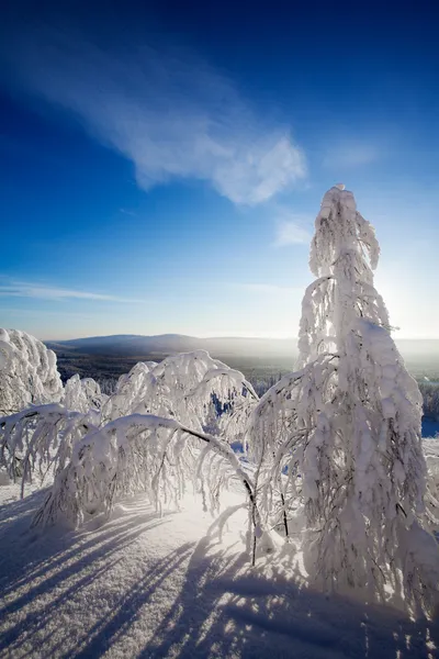 Laponia Finlandia — Foto de Stock