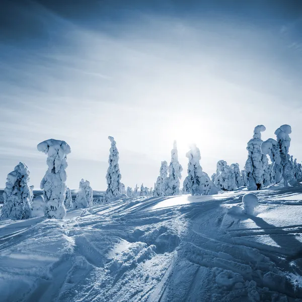 Lapland Finland Stock Photo