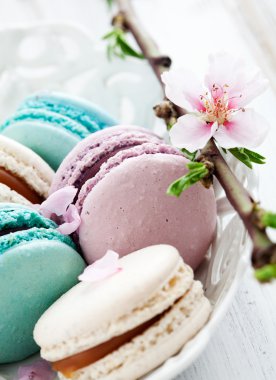 Fransızca macaroons