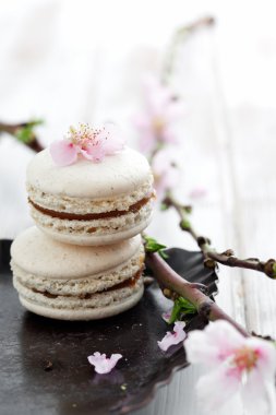 Fransızca macaroons