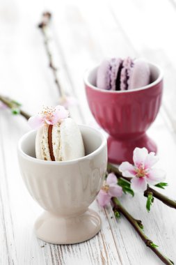 Fransızca macaroons