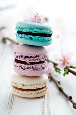 Fransızca macaroons