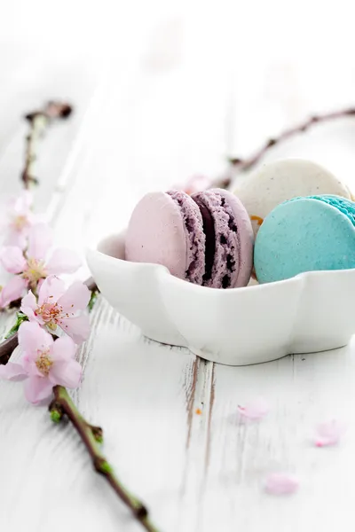 Fransızca macaroons — Stok fotoğraf