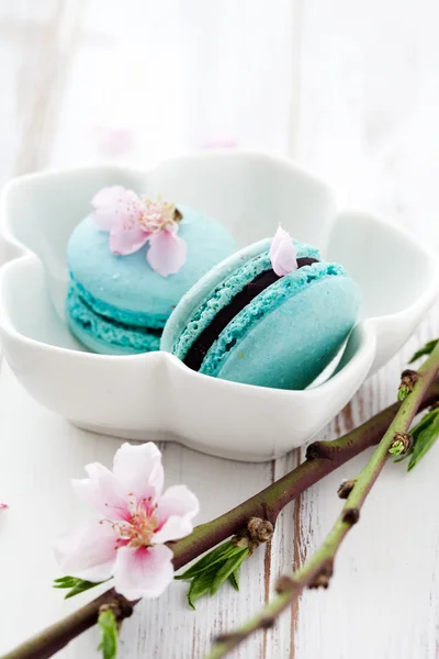 Macaroons franceses — Fotografia de Stock