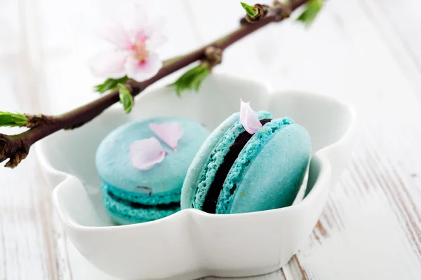 Francia macaroons — Stock Fotó