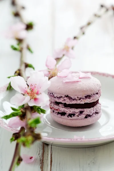 Macaroons franceses — Fotografia de Stock