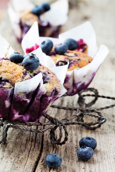 Bosbessenmuffins — Stockfoto