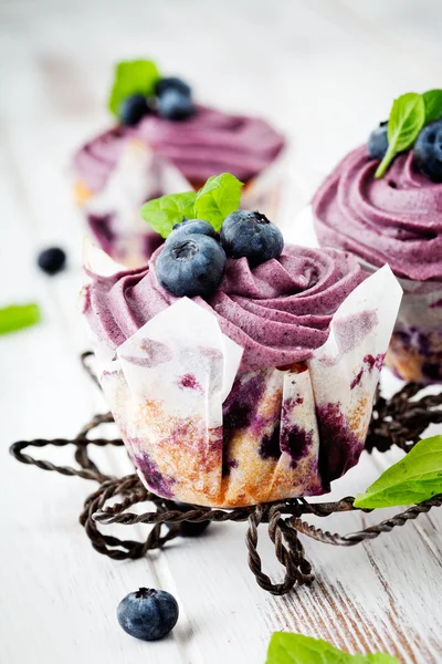 Blaubeer-Cupcakes — Stockfoto