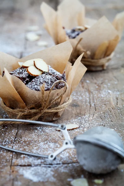 Muffins de chocolate Fotografia De Stock