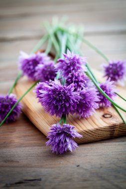taze çiçek chives bir avuç