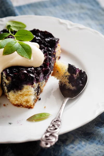 Blueberry pie — Stockfoto