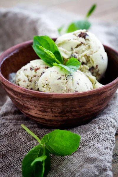 Chocolate chip mint ice cream — Stock Photo, Image