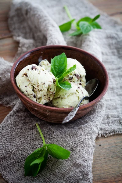 Chocolate chip mint ice cream — Stock Photo, Image