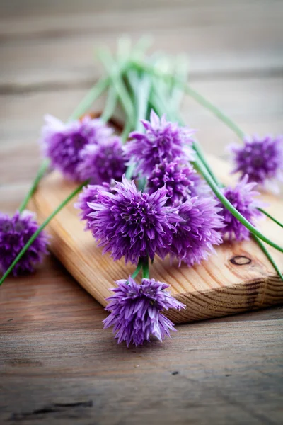 Букет свіжих цибулин квітів — стокове фото