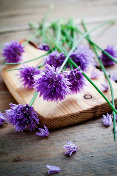 Chives Stock Picture